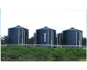 马来西亚21000m³棕榈油废水沼气工程